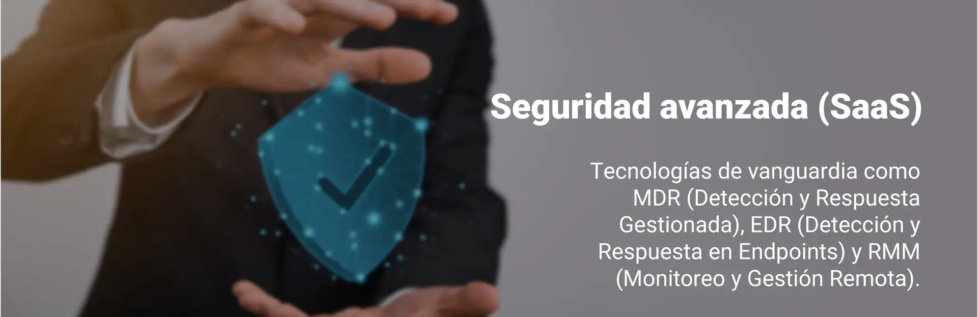 seguridad